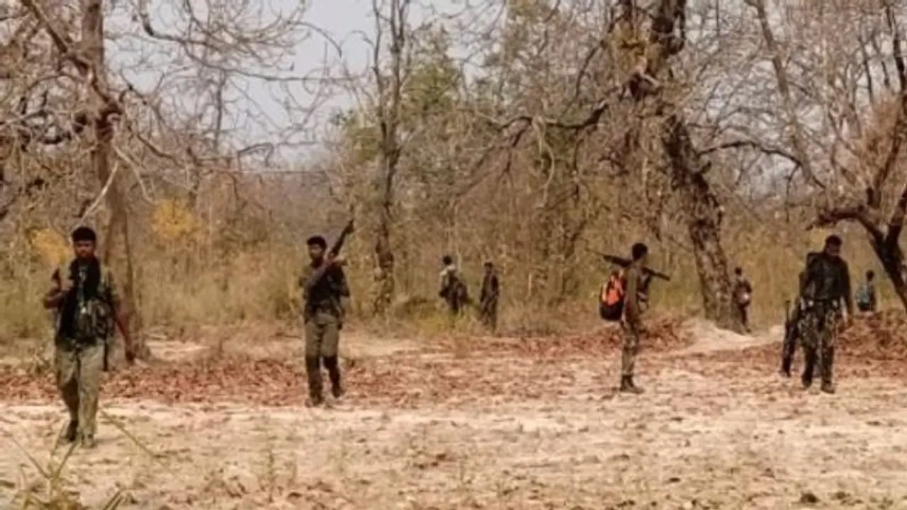 13 Naxals gunned down in Gadchiroli forest encounter 13 Naxals gunned down in Gadchiroli forest encounter