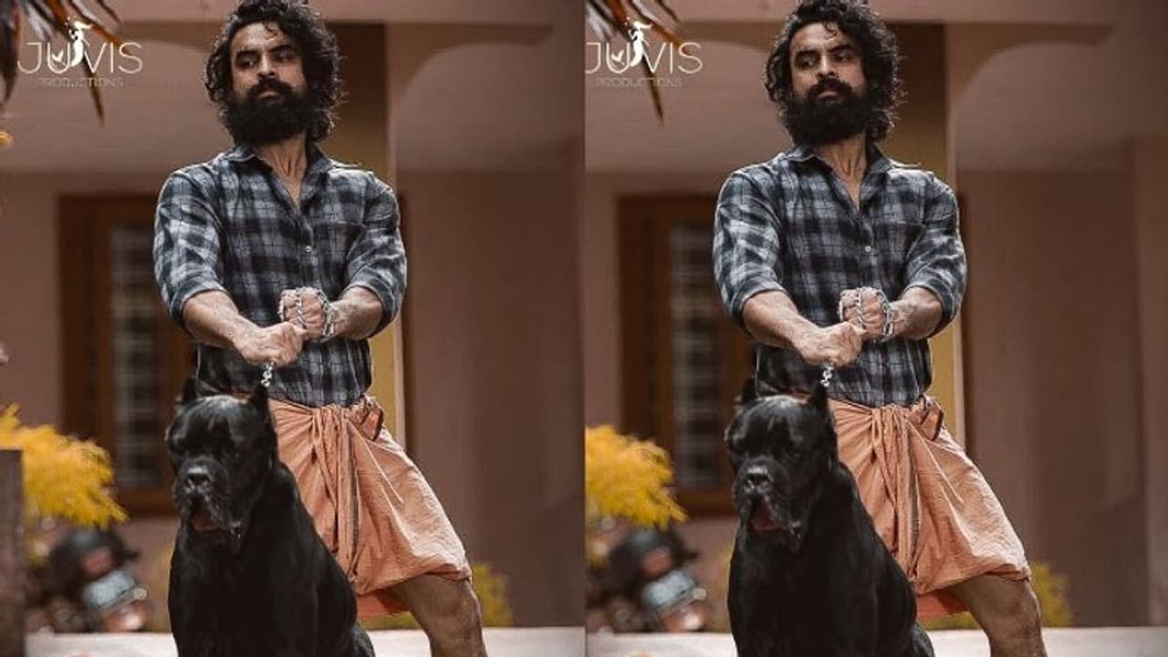 മികച്ച പ്രതികരണവുമായി ടൊവിനോ ചിത്രം കള; പുതിയ ടീസർ പുറത്ത് വിട്ട് അണിയറ പ്രവർത്തകർ മികച്ച പ്രതികരണവുമായി ടൊവിനോ ചിത്രം കള; പുതിയ ടീസർ പുറത്ത് വിട്ട് അണിയറ പ്രവർത്തകർ