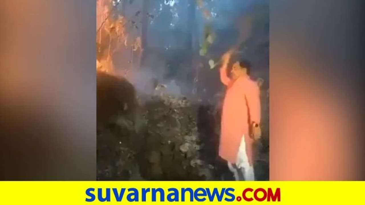 ಕಾಡ್ಗಿಚ್ಚು ಆರಿಸಲು ಏಕಾಂಗಿ ಯತ್ನಿಸಿದ ಅರಣ್ಯ ಸಚಿವ! ಕಾಡ್ಗಿಚ್ಚು ಆರಿಸಲು ಏಕಾಂಗಿ ಯತ್ನಿಸಿದ ಅರಣ್ಯ ಸಚಿವ!