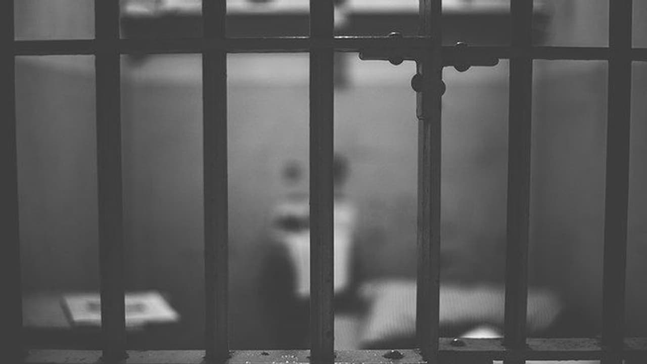 குழந்தைகளுடன் அடைக்கப்பட்டுள்ள பெண் கைதிகளை விடுவிக்க கோரிக்கை. குழு அமைத்து நடவடிக்கை எடுக்க நீதிபதி உத்தரவு. குழந்தைகளுடன் அடைக்கப்பட்டுள்ள பெண் கைதிகளை விடுவிக்க கோரிக்கை. குழு அமைத்து நடவடிக்கை எடுக்க நீதிபதி உத்தரவு.