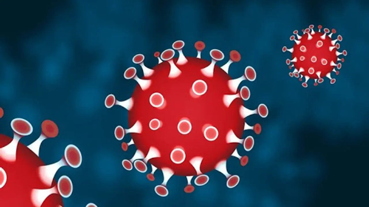 தேர்தலுக்குப் பிறகும் விடாமல் விரட்டும் கொரோனா... ஸ்ரீபெரும்புதூர் காங்கிரஸ் வேட்பாளருக்கு தொற்று உறுதி...! தேர்தலுக்குப் பிறகும் விடாமல் விரட்டும் கொரோனா... ஸ்ரீபெரும்புதூர் காங்கிரஸ் வேட்பாளருக்கு தொற்று உறுதி...!