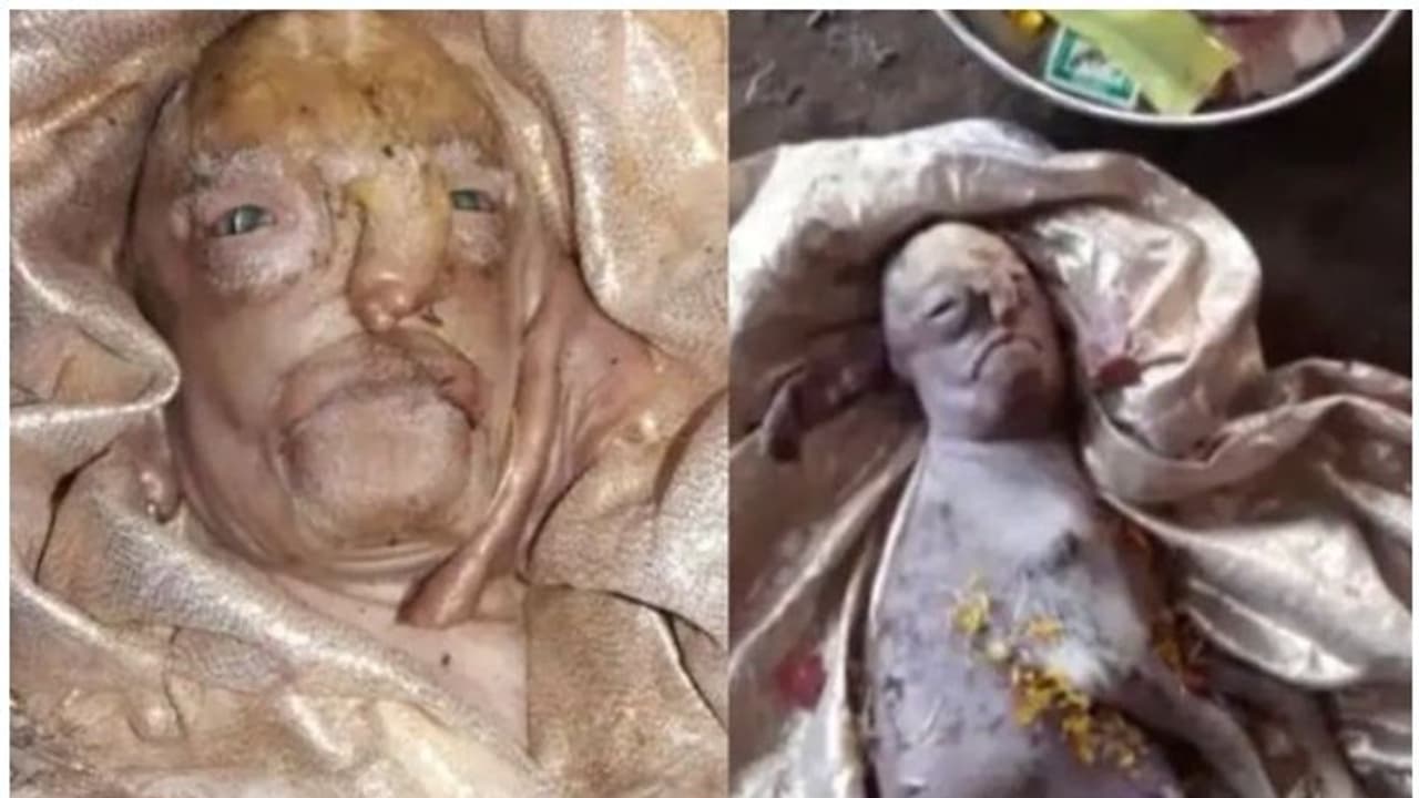 മനുഷ്യ മുഖവും ആടിന്റെ രൂപവുമായി ആട്ടിൻകുട്ടി ജനിച്ചു: ദൈവമായി കണ്ട് ആരാധിച്ച് ഗ്രാമവാസികൾ