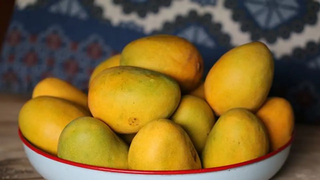 Bahrain: Promotion programme for Indian mangoes begins