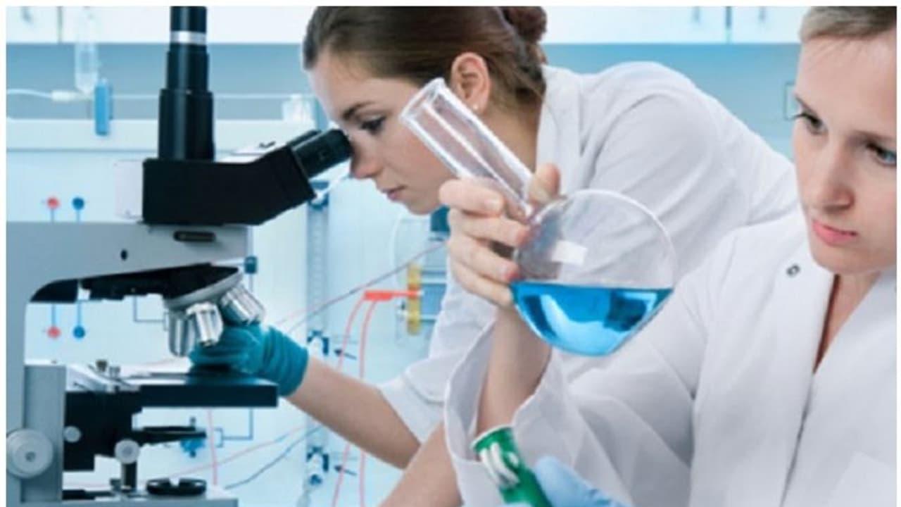 Paramedical Courses : പാരാമെഡിക്കൽ ഡിപ്ലോമ കോഴ്സുകൾ; ഒന്നാം ഘട്ട അലോട്ട്മെന്റ് പ്രസിദ്ധീകരിച്ചു Paramedical Courses : പാരാമെഡിക്കൽ ഡിപ്ലോമ കോഴ്സുകൾ; ഒന്നാം ഘട്ട അലോട്ട്മെന്റ് പ്രസിദ്ധീകരിച്ചു