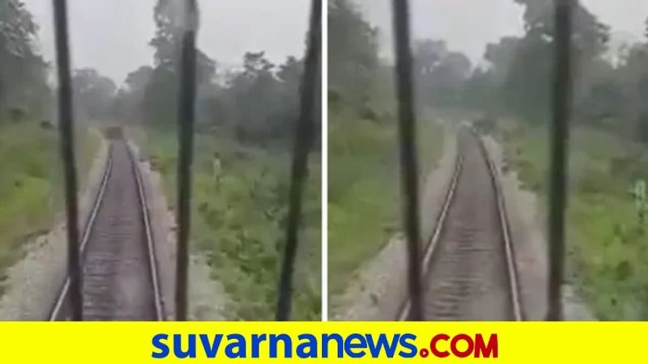 ಕಾಡಾನೆ ಮತ್ತು ಮರಿ ಹಳಿ ದಾಟಲು ರೈಲು ನಿಲ್ಲಿಸಿದ ಚಾಲಕ : ವಿಡಿಯೋ ವೈರಲ್ ಕಾಡಾನೆ ಮತ್ತು ಮರಿ ಹಳಿ ದಾಟಲು ರೈಲು ನಿಲ್ಲಿಸಿದ ಚಾಲಕ : ವಿಡಿಯೋ ವೈರಲ್