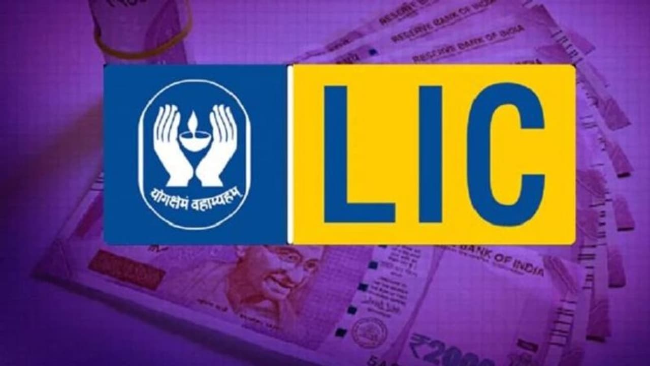 LIC ಸಿಬ್ಬಂದಿ ವೇತನ ಶೇ.25ರಷ್ಟು ಏರಿಕೆ, ವಾರದಲ್ಲಿ 5 ದಿನ ಕೆಲಸ! LIC ಸಿಬ್ಬಂದಿ ವೇತನ ಶೇ.25ರಷ್ಟು ಏರಿಕೆ, ವಾರದಲ್ಲಿ 5 ದಿನ ಕೆಲಸ!
