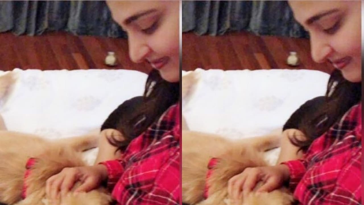 తనపై ప్రేమను అలా చాటుకున్న అనుష్క! తనపై ప్రేమను అలా చాటుకున్న అనుష్క!