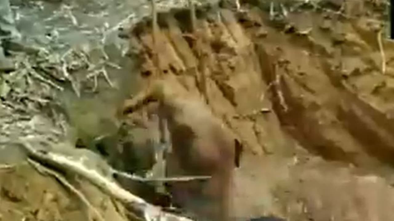 15 ಅಡಿ ಆಳದ ಬಾವಿಗೆ ಬಿದ್ದ ಆನೆ ಮರಿ; ಸತತ 4 ಗಂಟೆ ಕಾರ್ಯಚರಣೆ ಮೂಲಕ ರಕ್ಷಣೆ! 15 ಅಡಿ ಆಳದ ಬಾವಿಗೆ ಬಿದ್ದ ಆನೆ ಮರಿ; ಸತತ 4 ಗಂಟೆ ಕಾರ್ಯಚರಣೆ ಮೂಲಕ ರಕ್ಷಣೆ!