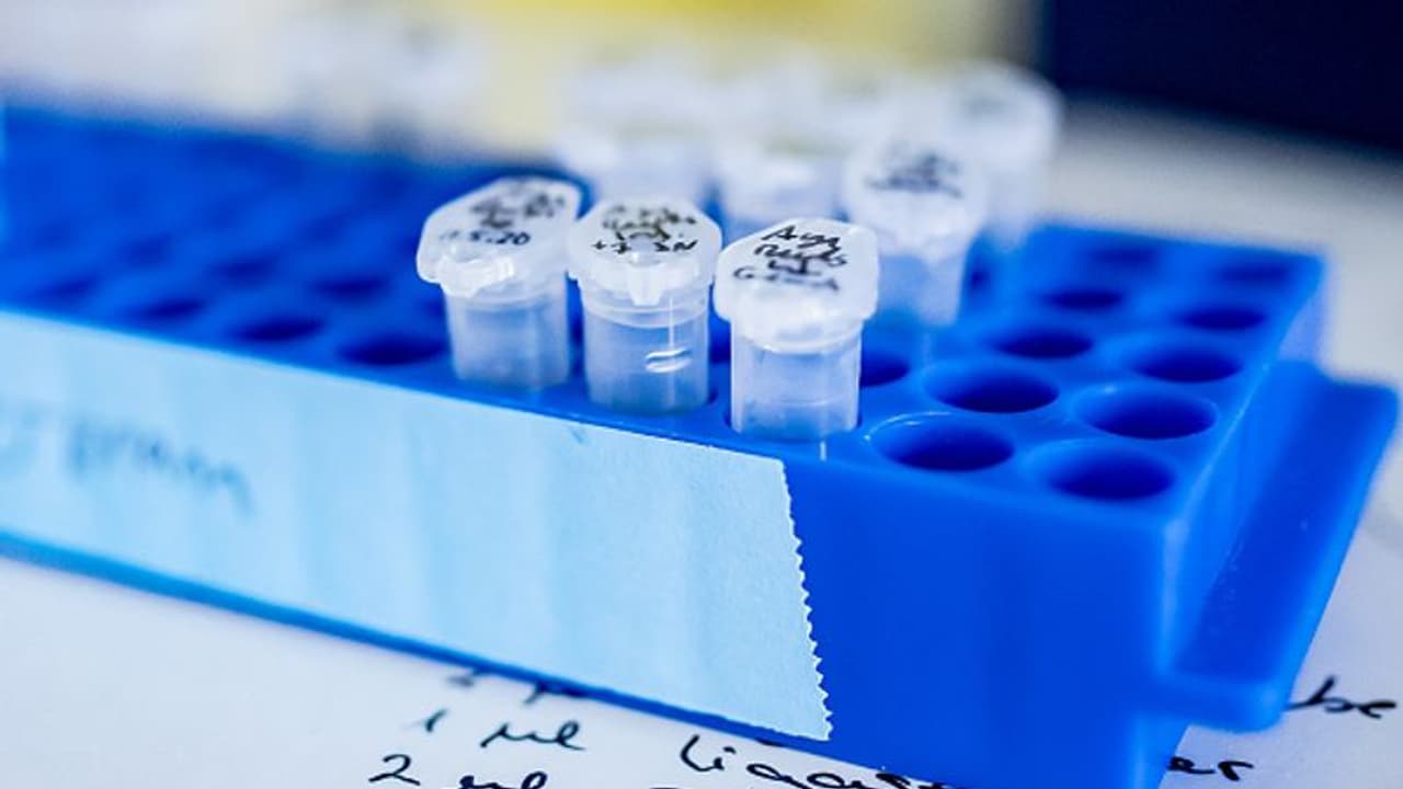 మీ జాగ్రత్తలే శ్రీరామరక్ష.. లేదంటే మనకూ మహారాష్ట్ర గతే: తెలంగాణ వైద్య శాఖ హెచ్చరికలు