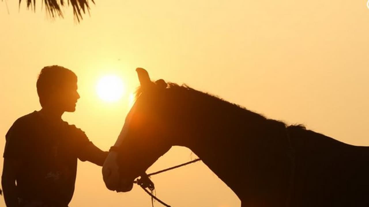 'கர்ணன்' ரீமேக்... ஹீரோவாக நடிக்கும் இளம் நடிகர்..! 'கர்ணன்' ரீமேக்... ஹீரோவாக நடிக்கும் இளம் நடிகர்..!