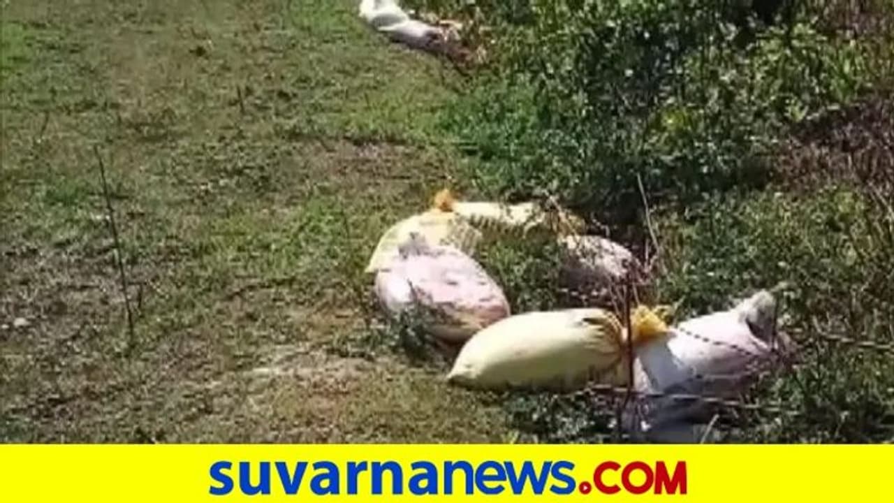 ವಿಧಾನಸಭಾ ಚುನಾವಣೆ: ಮುರ್ಶಿದಾಬಾದ್ನಲ್ಲಿ 14 ಬಾಂಬ್ ಪತ್ತೆ ವಿಧಾನಸಭಾ ಚುನಾವಣೆ: ಮುರ್ಶಿದಾಬಾದ್ನಲ್ಲಿ 14 ಬಾಂಬ್ ಪತ್ತೆ