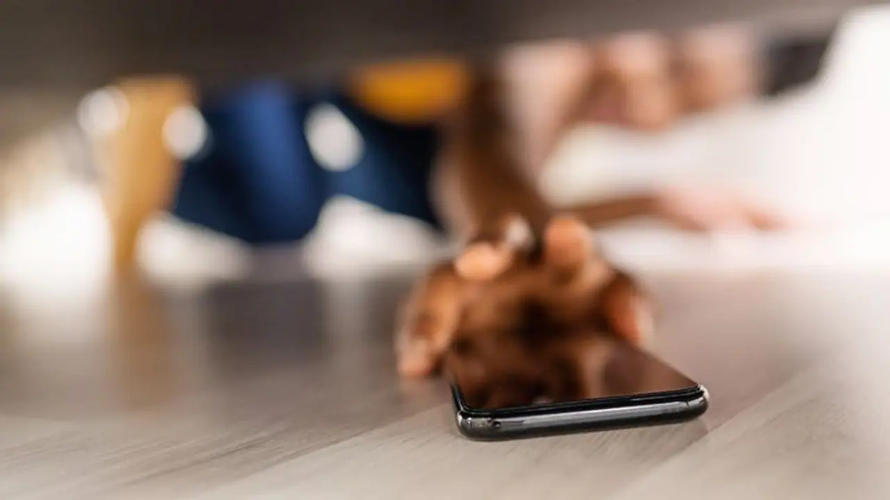 ഓണ്ലൈന് ക്ലാസില് പങ്കെടുക്കാനായി എംഎല്എ വിതരണം ചെയ്ത മൊബൈല് ഫോണ് മോഷണം പോയി ഓണ്ലൈന് ക്ലാസില് പങ്കെടുക്കാനായി എംഎല്എ വിതരണം ചെയ്ത മൊബൈല് ഫോണ് മോഷണം പോയി