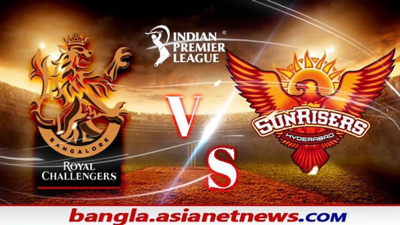 Macth Prediction বিরাটের আরসিবি না ওয়ার্নারের হায়দরাবাদ, আজ কে করবে বাজিমাত Macth Prediction বিরাটের আরসিবি না ওয়ার্নারের হায়দরাবাদ, আজ কে করবে বাজিমাত