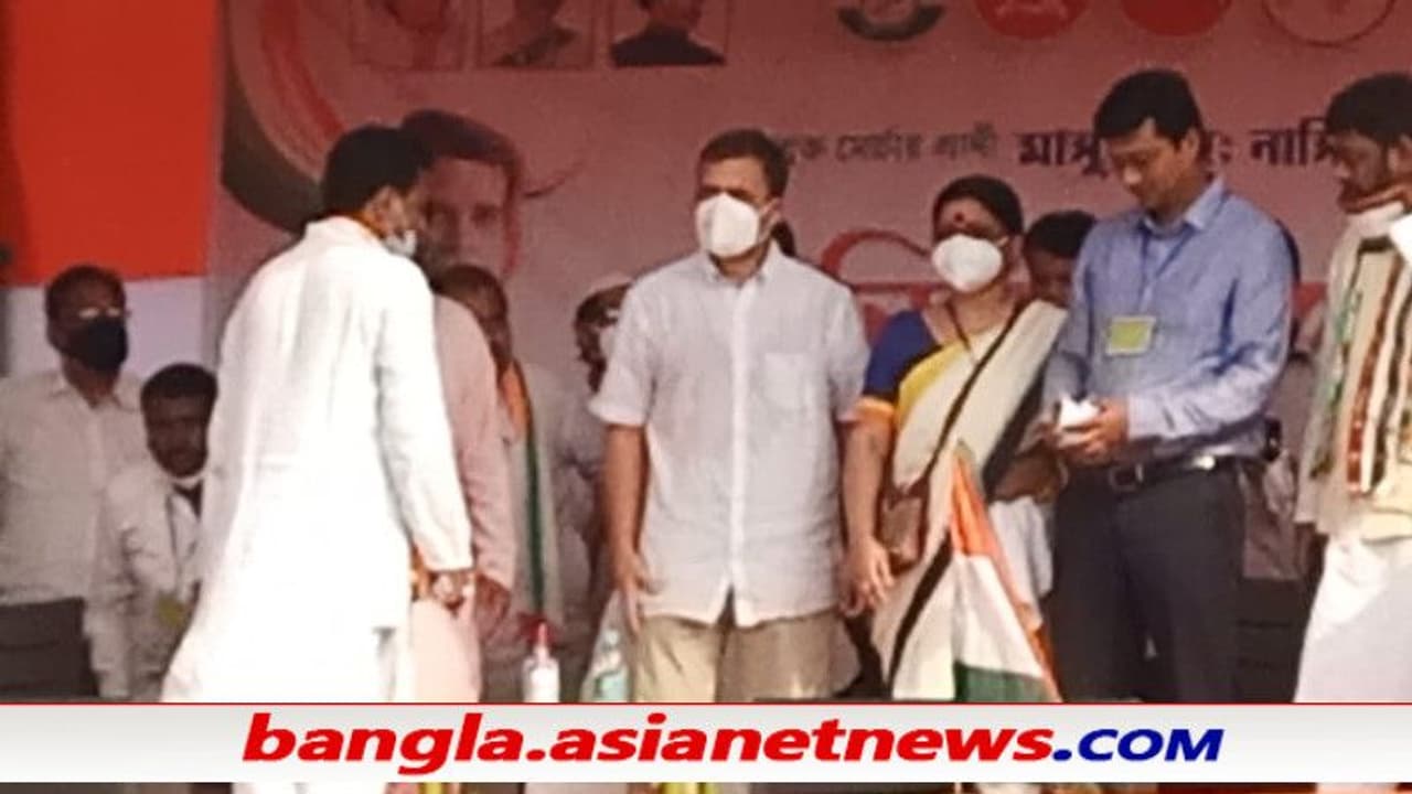 মূল লক্ষ্য বিজেপিই, মমতার সমালোচনা সামান্যই বঙ্গে প্রচারে এসে কেন এত সাবধানী রাহুল গান্ধী মূল লক্ষ্য বিজেপিই, মমতার সমালোচনা সামান্যই বঙ্গে প্রচারে এসে কেন এত সাবধানী রাহুল গান্ধী