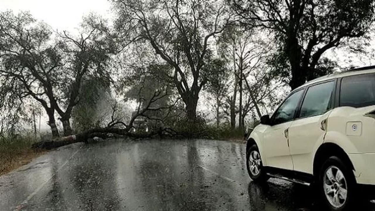 আজ ফল প্রকাশের দিনে ঝাপিয়ে বৃষ্টি বাংলায়, টানা ৫ দিন ভারী বর্ষণ এই জেলাগুলিতে