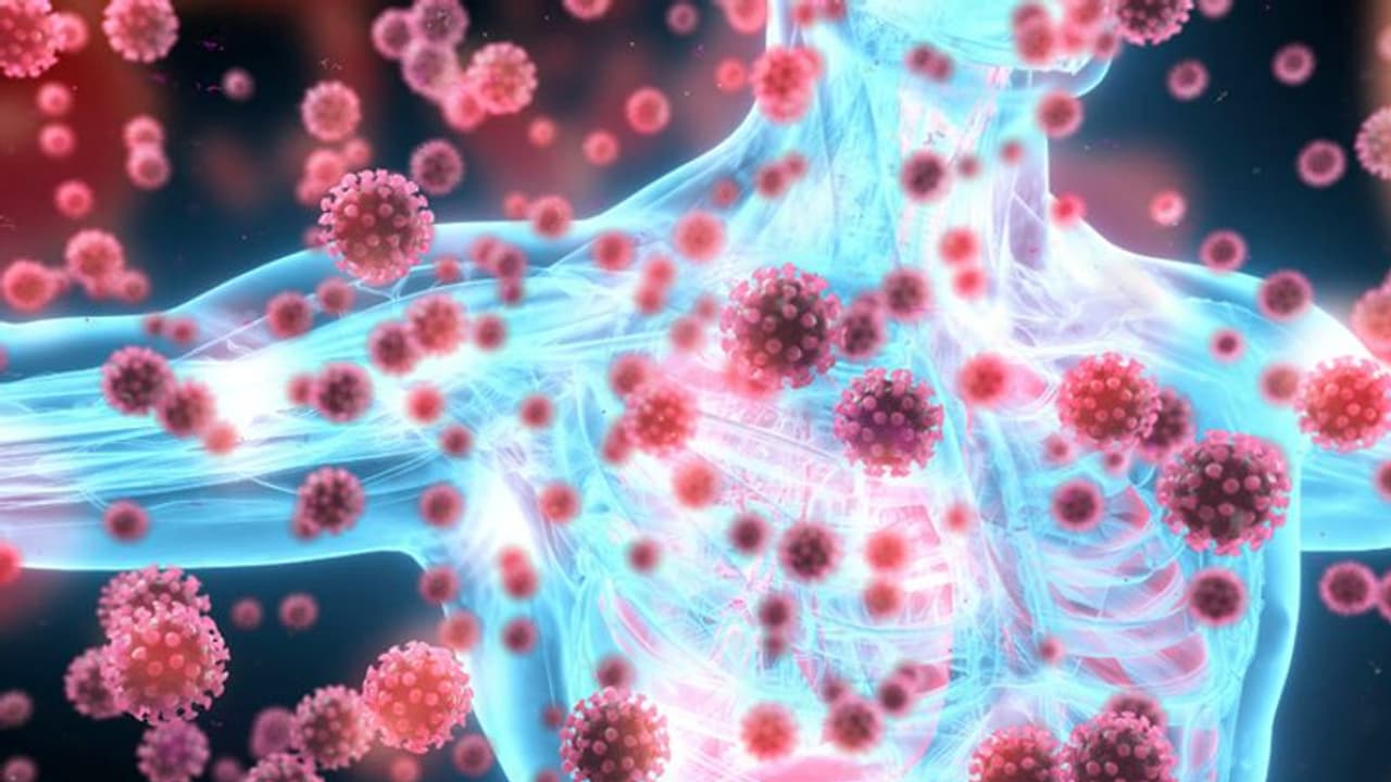 ভয়ঙ্কর আকার নিচ্ছে করোনা, কীভাবে বাড়াবেন প্রতিরোধ ক্ষমতা ভয়ঙ্কর আকার নিচ্ছে করোনা, কীভাবে বাড়াবেন প্রতিরোধ ক্ষমতা