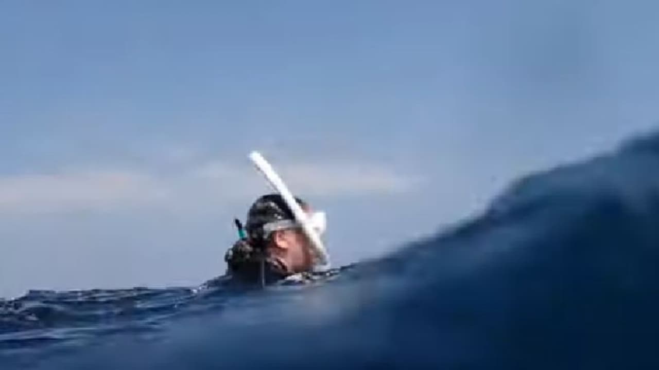 'അണ്ടര്‍വാട്ടര്‍' സാഹസികതയ്ക്കിടെ അപ്രതീക്ഷിതമായ സംഭവം; വൈറലായി വീഡിയോ