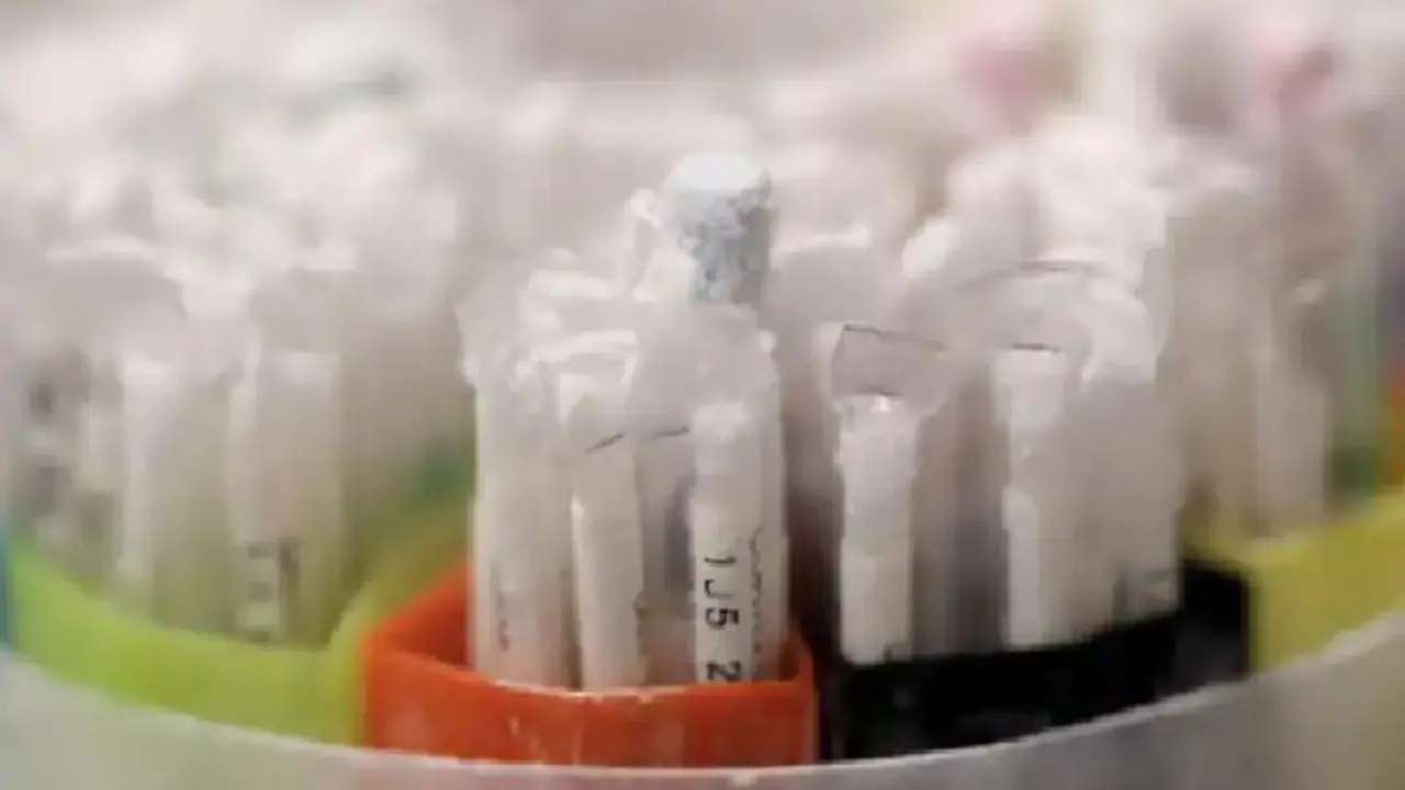 ആവശ്യത്തിന് ബീജമില്ല; ദാതാക്കളെ തേടി സ്വീഡനിലെ ക്ലിനിക്കുകള്... ആവശ്യത്തിന് ബീജമില്ല; ദാതാക്കളെ തേടി സ്വീഡനിലെ ക്ലിനിക്കുകള്...