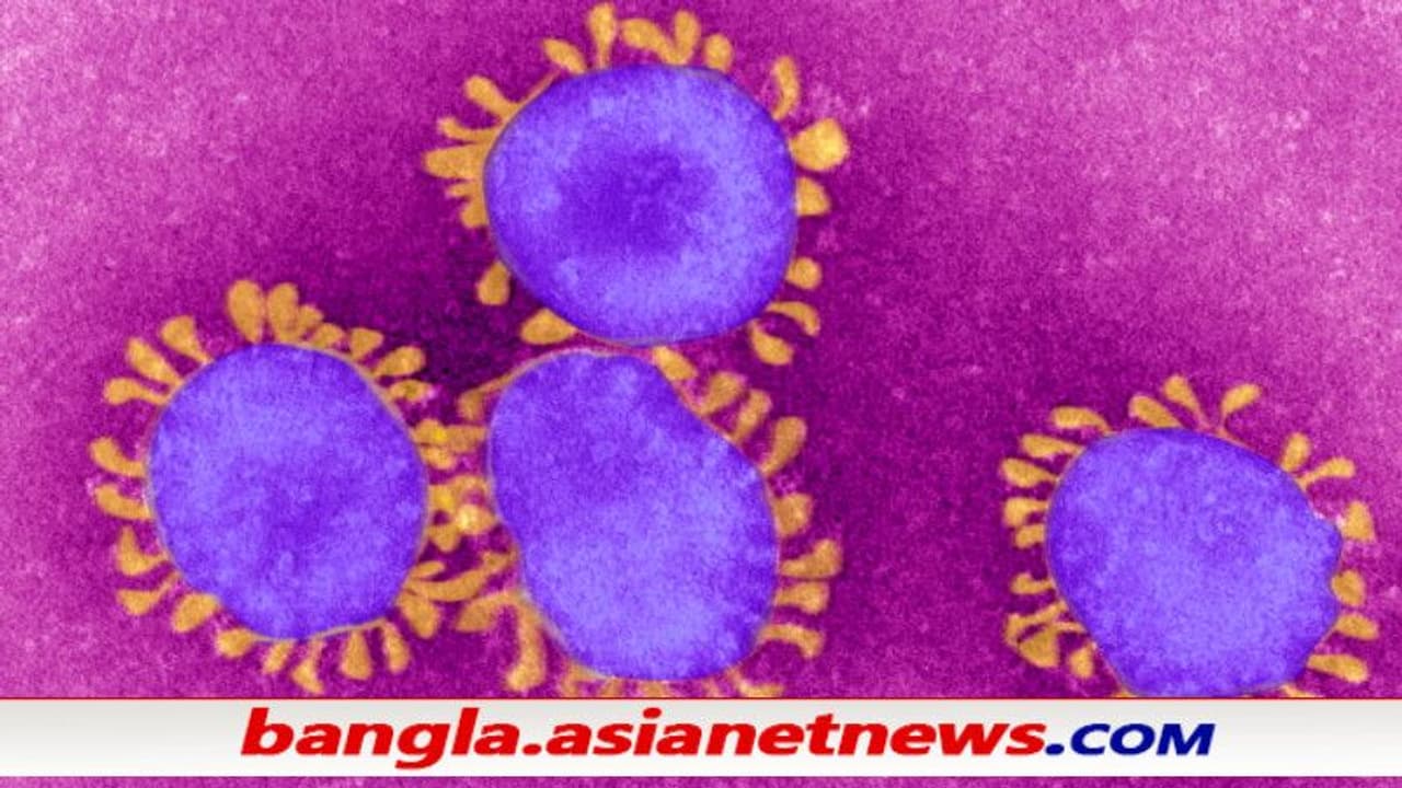 করোনার ডেল্টা সংক্রমণের মধ্যেই নতুন বিপদ LAMBDA , কোভিডের নতুন রূপ নিয়ে সতর্ক করল WHO করোনার ডেল্টা সংক্রমণের মধ্যেই নতুন বিপদ LAMBDA , কোভিডের নতুন রূপ নিয়ে সতর্ক করল WHO