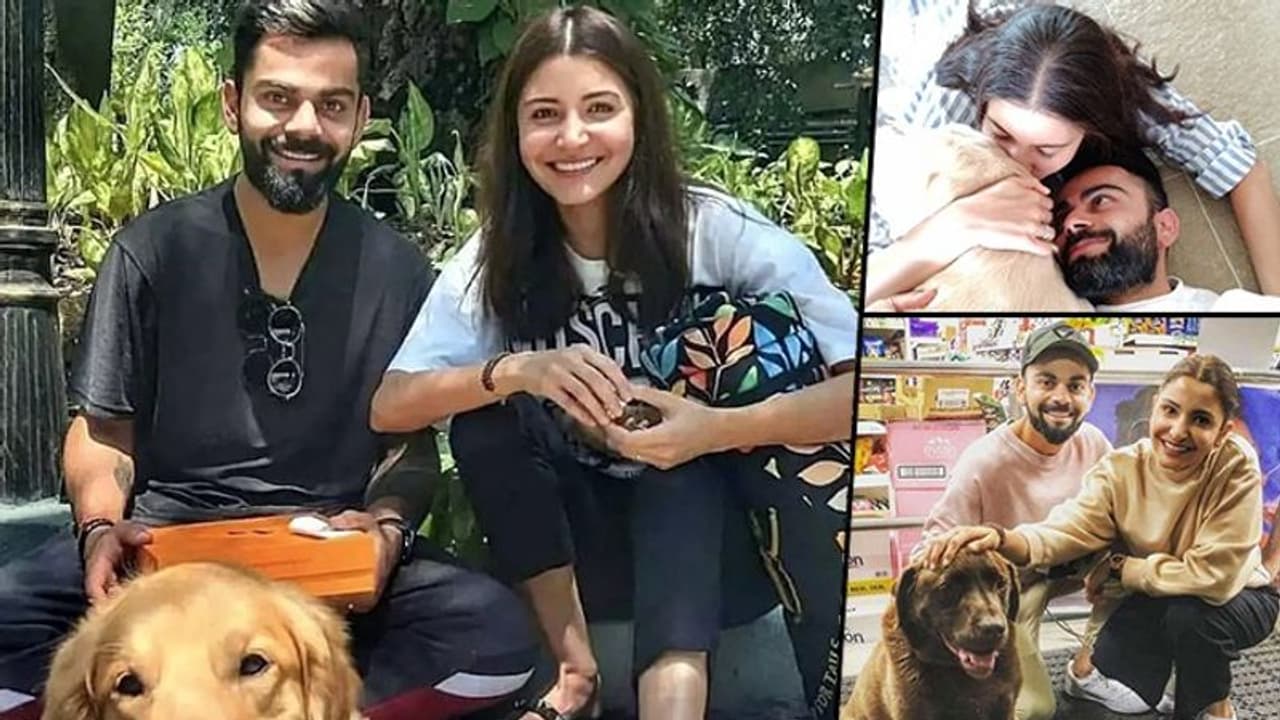 ফান মুডে বিরুষ্কে, ব্যক্তিগত মুহূর্তের ভিডিও এবার নিজেই শেয়ার করলেন অনুষ্কা ফান মুডে বিরুষ্কে, ব্যক্তিগত মুহূর্তের ভিডিও এবার নিজেই শেয়ার করলেন অনুষ্কা