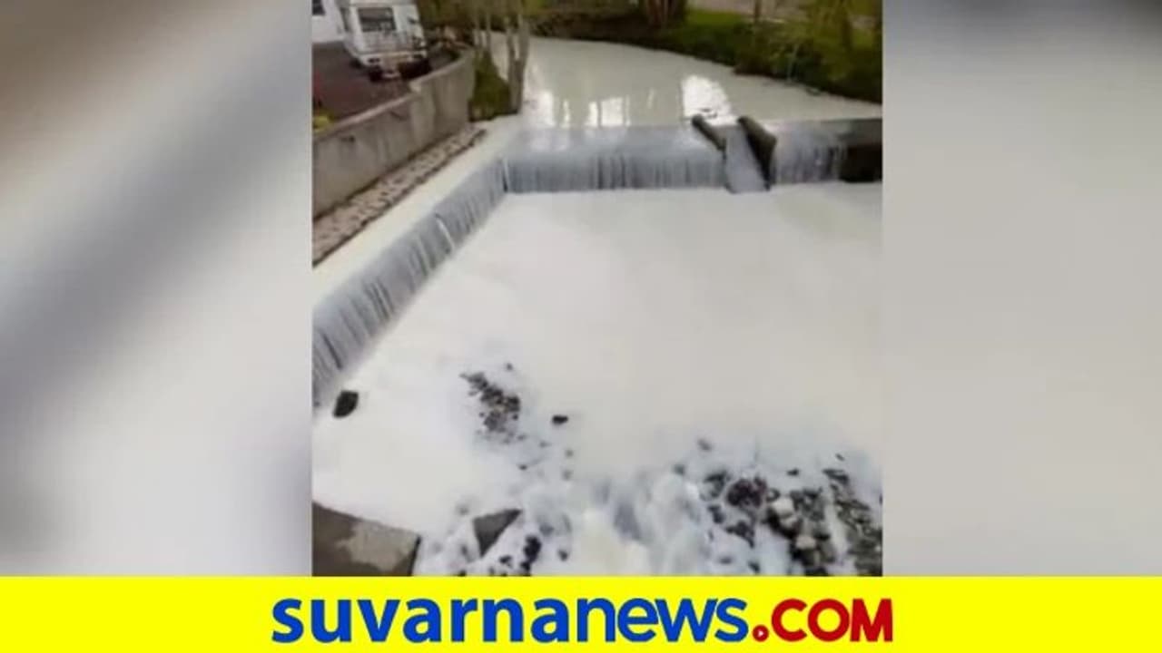 ನೀರಿನ ಬದಲು ನದಿಯಲ್ಲಿ ಉಕ್ಕಿ ಹರಿದ ಹಾಲು: ಪಾತ್ರೆಗಳಲ್ಲಿ ತುಂಬಿ ಕೊಂಡೊಯ್ದ ಜನ! ನೀರಿನ ಬದಲು ನದಿಯಲ್ಲಿ ಉಕ್ಕಿ ಹರಿದ ಹಾಲು: ಪಾತ್ರೆಗಳಲ್ಲಿ ತುಂಬಿ ಕೊಂಡೊಯ್ದ ಜನ!