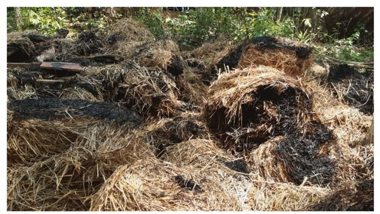 Crime News: గడ్డివాములో ప్రియుడితో భార్య సరసాలు.. సజీవంగా దహనం చేసిన భర్త: పోలీసులు Crime News: గడ్డివాములో ప్రియుడితో భార్య సరసాలు.. సజీవంగా దహనం చేసిన భర్త: పోలీసులు