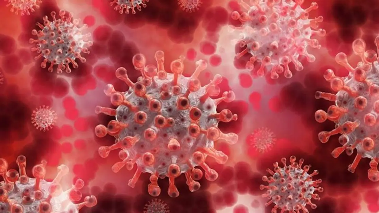 கிடுகிடுவென உயரும் பாதிப்பு... இந்தியாவில் தினசரி கொரோனா பாதிப்பு 2.73 லட்சமாக அதிகரிப்பு..! கிடுகிடுவென உயரும் பாதிப்பு... இந்தியாவில் தினசரி கொரோனா பாதிப்பு 2.73 லட்சமாக அதிகரிப்பு..!