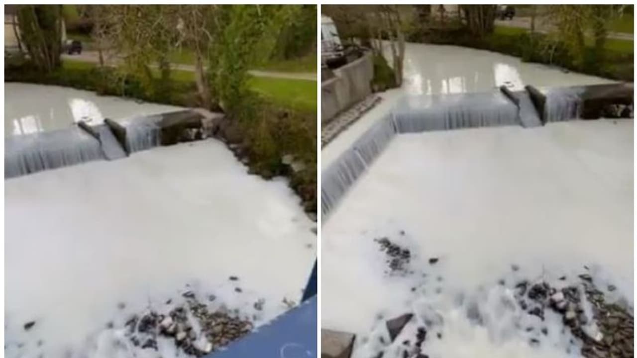 'പാലൊഴുകും പുഴ...' ; അമ്പരന്ന് നാട്ടുകാർ, വെെറലായി വീഡിയോ