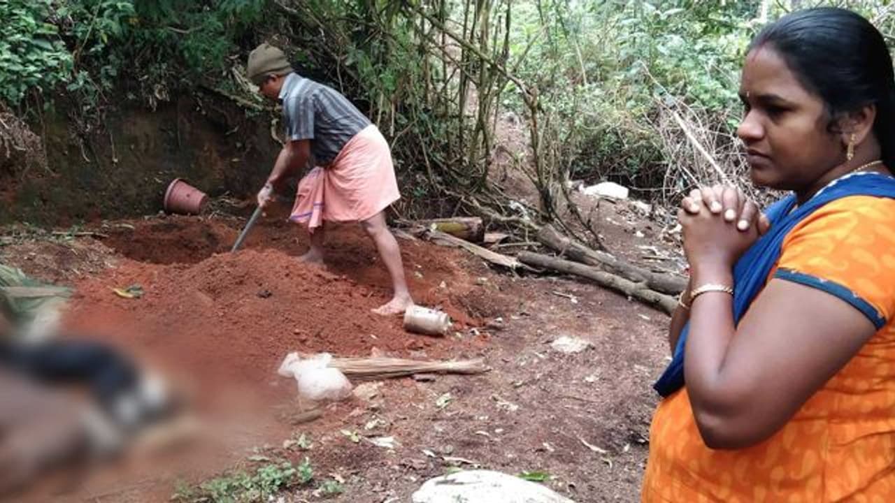 സര്ക്കാര് മ്യഗാശുപത്രിയില് വാക്സിനെടുത്ത നായകള് ചത്തതായി പരാതി സര്ക്കാര് മ്യഗാശുപത്രിയില് വാക്സിനെടുത്ത നായകള് ചത്തതായി പരാതി
