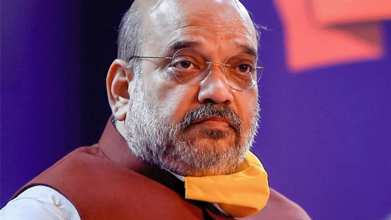 అమిత్ షాను కలిసిన రఘురామ కృష్ణమ రాజు కుమారుడు, కూతురు