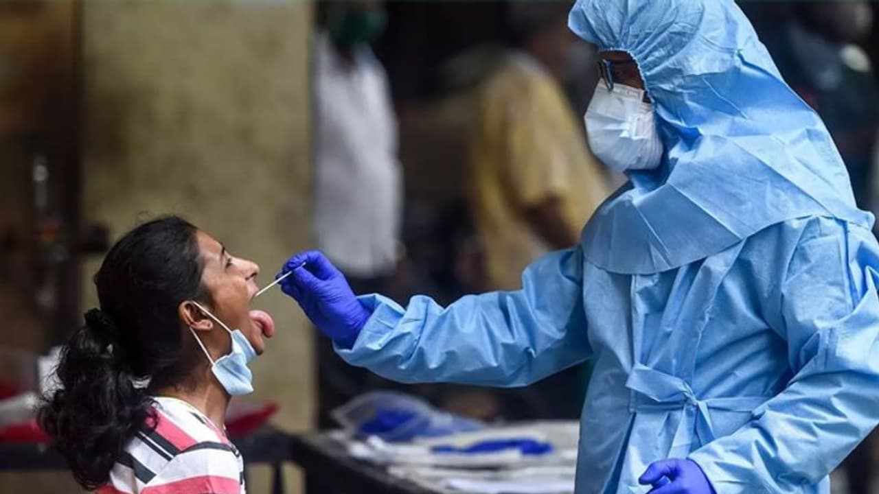 ஒரு ஆண்டு முழுவதும் வாழ்வாதாரம் போச்சு.. மேலும் தடையா.? அரசுக்கு வரும் அதிரடி கோரிக்கைகள்.. ஒரு ஆண்டு முழுவதும் வாழ்வாதாரம் போச்சு.. மேலும் தடையா.? அரசுக்கு வரும் அதிரடி கோரிக்கைகள்..