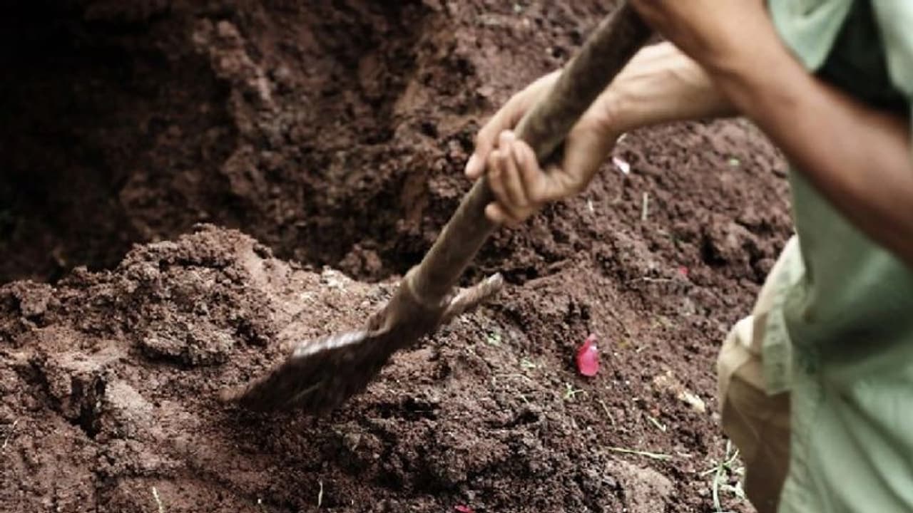 ಭದ್ರಾವತಿ: 150 ನಾಯಿಗಳನ್ನ ಜೀವಂತವಾಗಿ ಹೂತ ದುರುಳರು..!