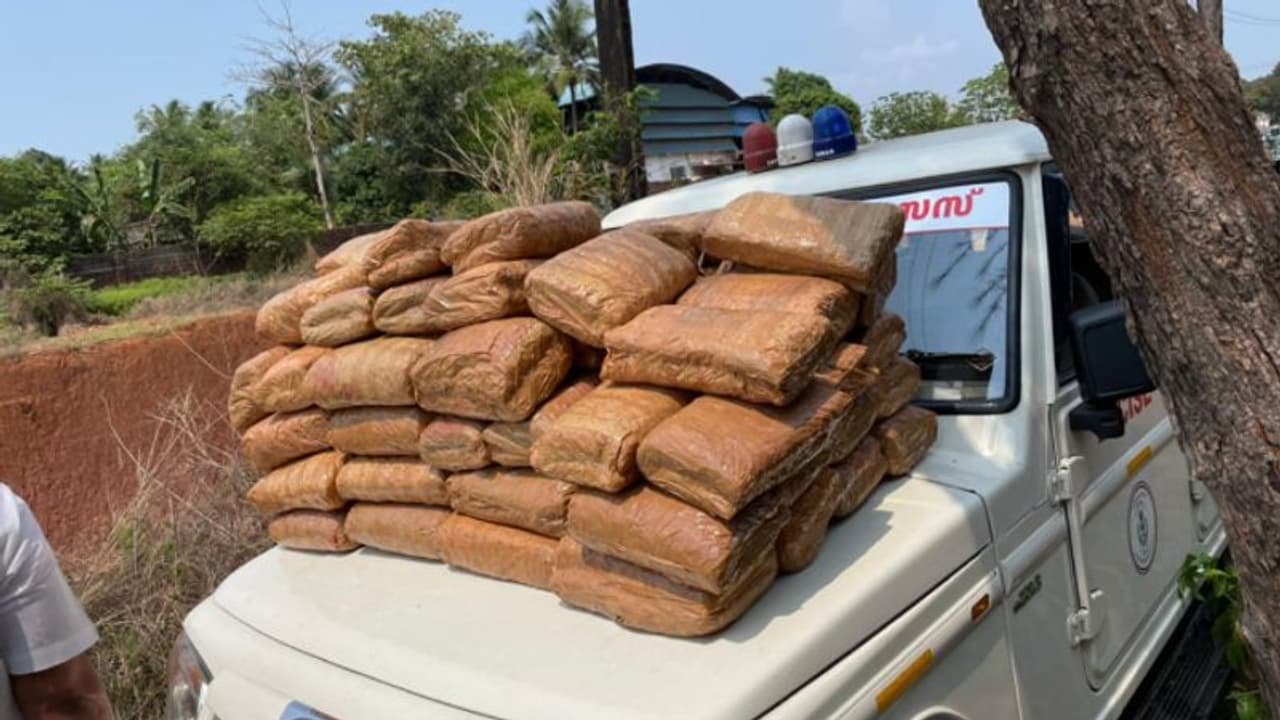മലുപ്പുറത്ത് വൻ കഞ്ചാവ് വേട്ട: കാറിൽ കടത്താൻ ശ്രമിച്ച 175 കിലോ കഞ്ചാവുമായി രണ്ട് പേർ പിടിയിൽ