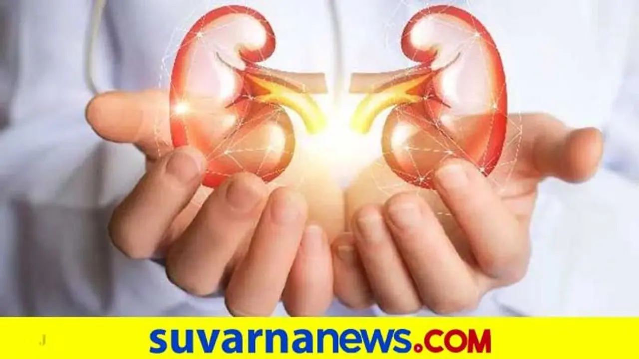 World Kidney Day 2022: ನಿಮ್ಮ ಕಿಡ್ನಿಗಳನ್ನು ಹ್ಯಾಪಿಯಾಗಿಡುವುದು ಹೇಗೆ? World Kidney Day 2022: ನಿಮ್ಮ ಕಿಡ್ನಿಗಳನ್ನು ಹ್ಯಾಪಿಯಾಗಿಡುವುದು ಹೇಗೆ?