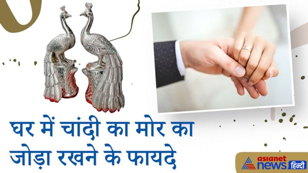 वैवाहिक जीवन में सुख शांति के लिए घर में रखें चांदी से बना मोर का जोड़ा, हो सकते हैं और भी फायदे
