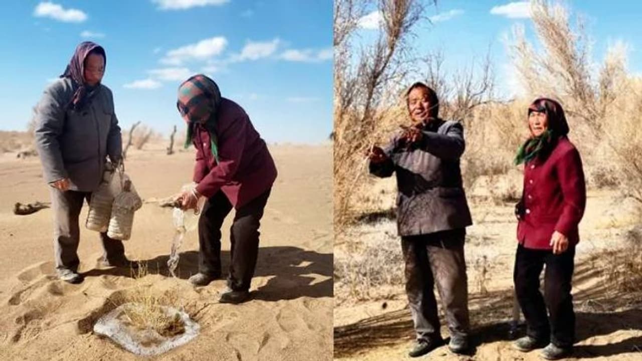 മരുഭൂമിയിൽ മരുപ്പച്ച തീർക്കാനുള്ള പോരാട്ടത്തിലാണ് ഈ ദമ്പതികൾ! മരുഭൂമിയിൽ മരുപ്പച്ച തീർക്കാനുള്ള പോരാട്ടത്തിലാണ് ഈ ദമ്പതികൾ!