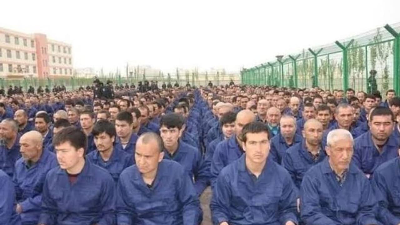 उइगर मुसलमानों के नरसंहार में जुटा चीन, उन्हें गुलामों की तरह बेचा जा रहा ब्रिटिश सांसद ने खोली पोल उइगर मुसलमानों के नरसंहार में जुटा चीन, उन्हें गुलामों की तरह बेचा जा रहा ब्रिटिश सांसद ने खोली पोल