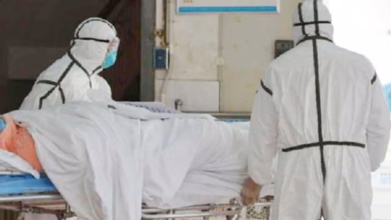 తెలంగాణలో 24 గంటల్లో కరోనాతో 23 మంది మృతి: కొత్తగా 5,567 కేసులు తెలంగాణలో 24 గంటల్లో కరోనాతో 23 మంది మృతి: కొత్తగా 5,567 కేసులు