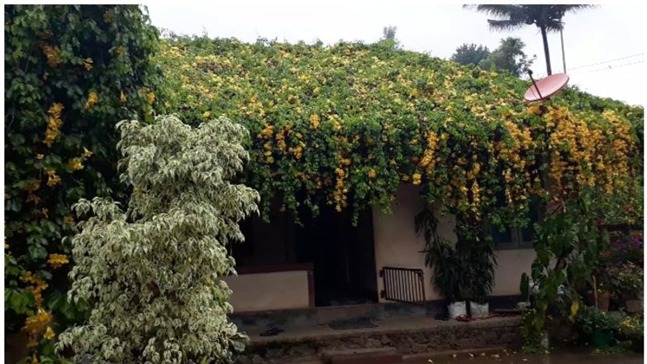 വേനലിനെ ചെറുത്ത്, വീടിനകം തണുപ്പിച്ച്, മേല്‍ക്കൂരയാകെ പൂക്കള്‍ വിരിച്ച വയനാട്ടിലെ വീട്