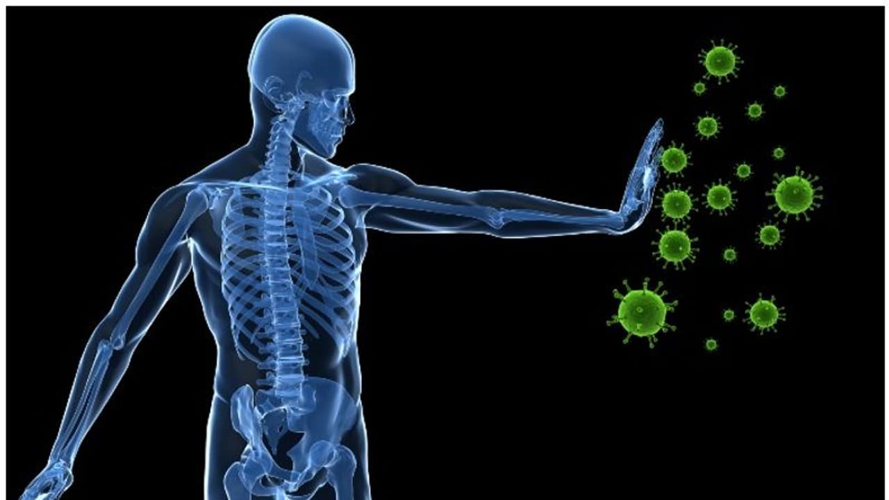 പ്രതിരോധശേഷി കൂട്ടാനുള്ള മരുന്നുകൾ കഴിക്കുമ്പോൾ സൂക്ഷിക്കുക; വിദഗ്ധർ പറയുന്നു പ്രതിരോധശേഷി കൂട്ടാനുള്ള മരുന്നുകൾ കഴിക്കുമ്പോൾ സൂക്ഷിക്കുക; വിദഗ്ധർ പറയുന്നു