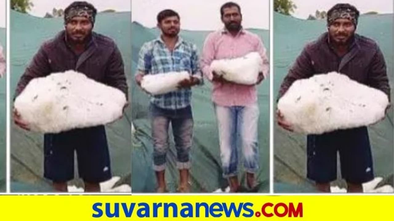 ನೆಲಕ್ಕೆ ಬಿದ್ದ ಕೆಜಿಗಟ್ಟಲೇ ತೂಕದ ಆಲಿಕಲ್ಲು! ನೆಲಕ್ಕೆ ಬಿದ್ದ ಕೆಜಿಗಟ್ಟಲೇ ತೂಕದ ಆಲಿಕಲ್ಲು!