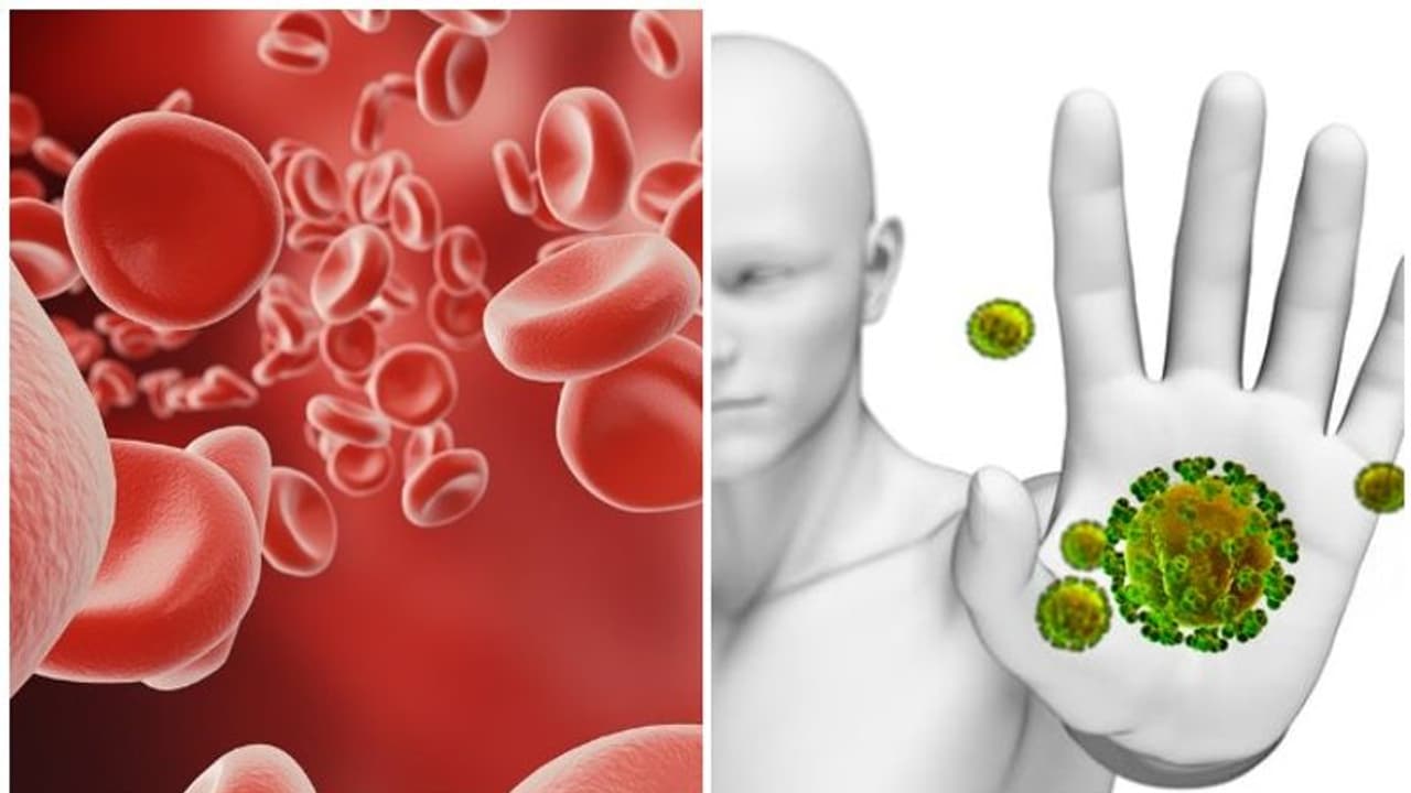 ഈ ഭക്ഷണങ്ങൾ കഴിക്കൂ; ഹീമോഗ്ലോബിന്റെ അളവ് കൂട്ടാം, പ്രതിരോധശേഷി വർദ്ധിപ്പിക്കാം ഈ ഭക്ഷണങ്ങൾ കഴിക്കൂ; ഹീമോഗ്ലോബിന്റെ അളവ് കൂട്ടാം, പ്രതിരോധശേഷി വർദ്ധിപ്പിക്കാം
