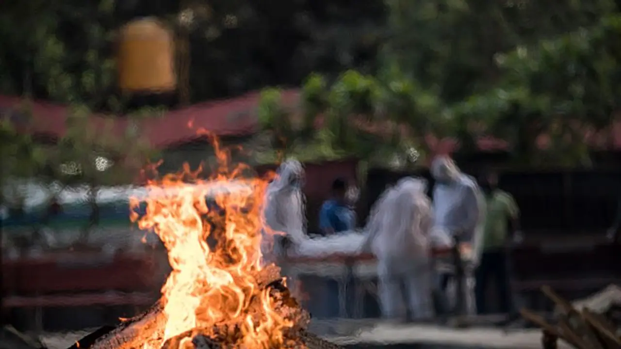கொரோனாவை சமாளிக்க இதைச் செய்யுங்கள்... மாற்றுவழி காட்டும் ராகுல் காந்தி ..! கொரோனாவை சமாளிக்க இதைச் செய்யுங்கள்... மாற்றுவழி காட்டும் ராகுல் காந்தி ..!