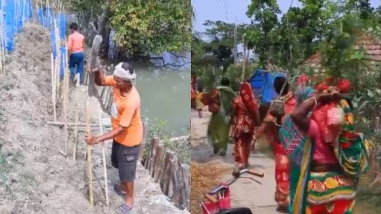 সুন্দরবনের হারানো রূপ ফেরাতে তৎপর কেকেআরের, নেওয়া হল সামাজিক উদ্যোগ