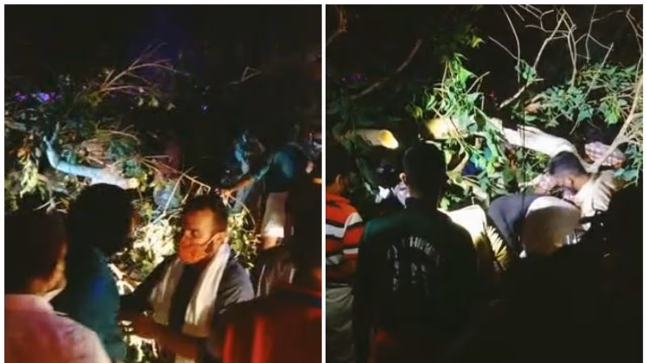 തൃശൂര് പൂരത്തിനിടെ മരം വീണ് അപകടം; തിരുവമ്പാടി ദേവസ്വം അംഗങ്ങളായ രണ്ട് പേര് മരിച്ചു തൃശൂര് പൂരത്തിനിടെ മരം വീണ് അപകടം; തിരുവമ്പാടി ദേവസ്വം അംഗങ്ങളായ രണ്ട് പേര് മരിച്ചു