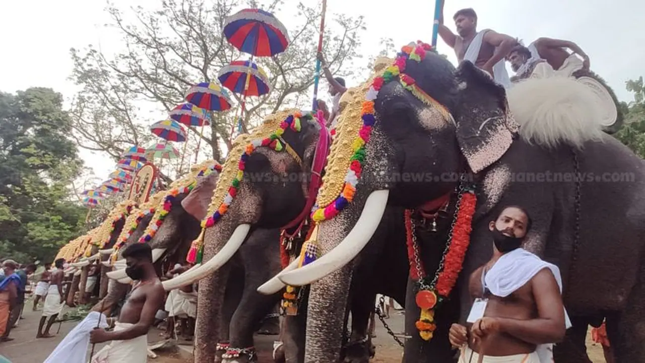 'ഉത്സവങ്ങൾ പഴയപടി നടത്താൻ അനുമതി വേണം'; ആന ഉടമകൾ പ്രക്ഷോഭത്തിലേക്ക് 'ഉത്സവങ്ങൾ പഴയപടി നടത്താൻ അനുമതി വേണം'; ആന ഉടമകൾ പ്രക്ഷോഭത്തിലേക്ക്