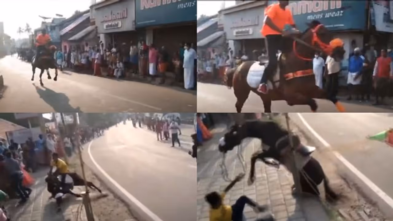 കൊവിഡ് നിയന്ത്രണങ്ങൾക്കിടെ പാലക്കാട്ട് കുതിരയോട്ട മത്സരം: കാണാനെത്തിയത് ആയിരങ്ങൾ കൊവിഡ് നിയന്ത്രണങ്ങൾക്കിടെ പാലക്കാട്ട് കുതിരയോട്ട മത്സരം: കാണാനെത്തിയത് ആയിരങ്ങൾ