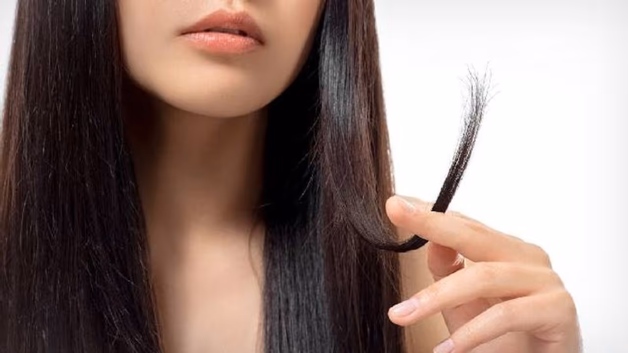 തലമുടിയുടെ അറ്റം പിളർന്നുപോകുന്നുണ്ടോ? പരീക്ഷിക്കാം ഈ അഞ്ച് മാര്ഗങ്ങള്... തലമുടിയുടെ അറ്റം പിളർന്നുപോകുന്നുണ്ടോ? പരീക്ഷിക്കാം ഈ അഞ്ച് മാര്ഗങ്ങള്...