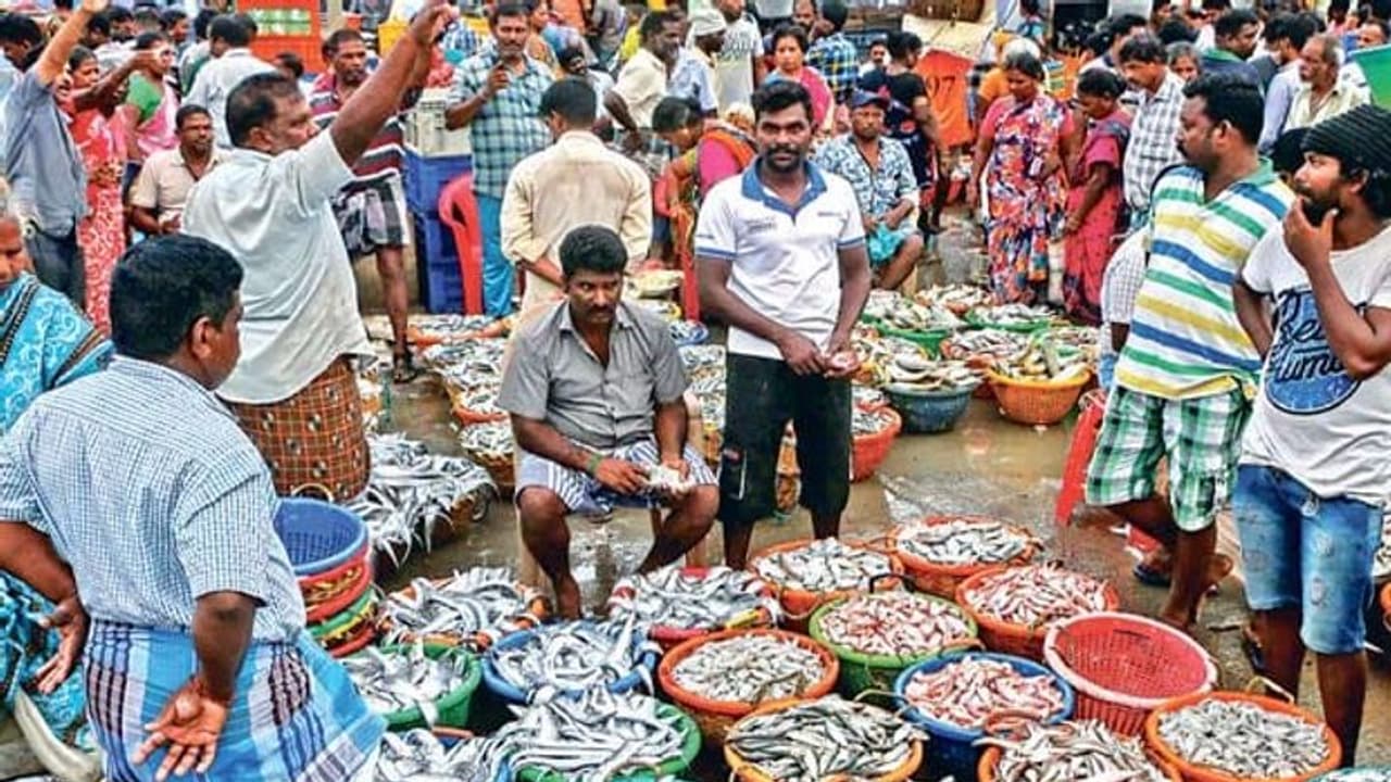 மீன் வரத்து அதிகரித்ததால் குறைந்த விலை..! காசிமேட்டில் குவிந்த பொதுமக்கள் மீன் வரத்து அதிகரித்ததால் குறைந்த விலை..! காசிமேட்டில் குவிந்த பொதுமக்கள்