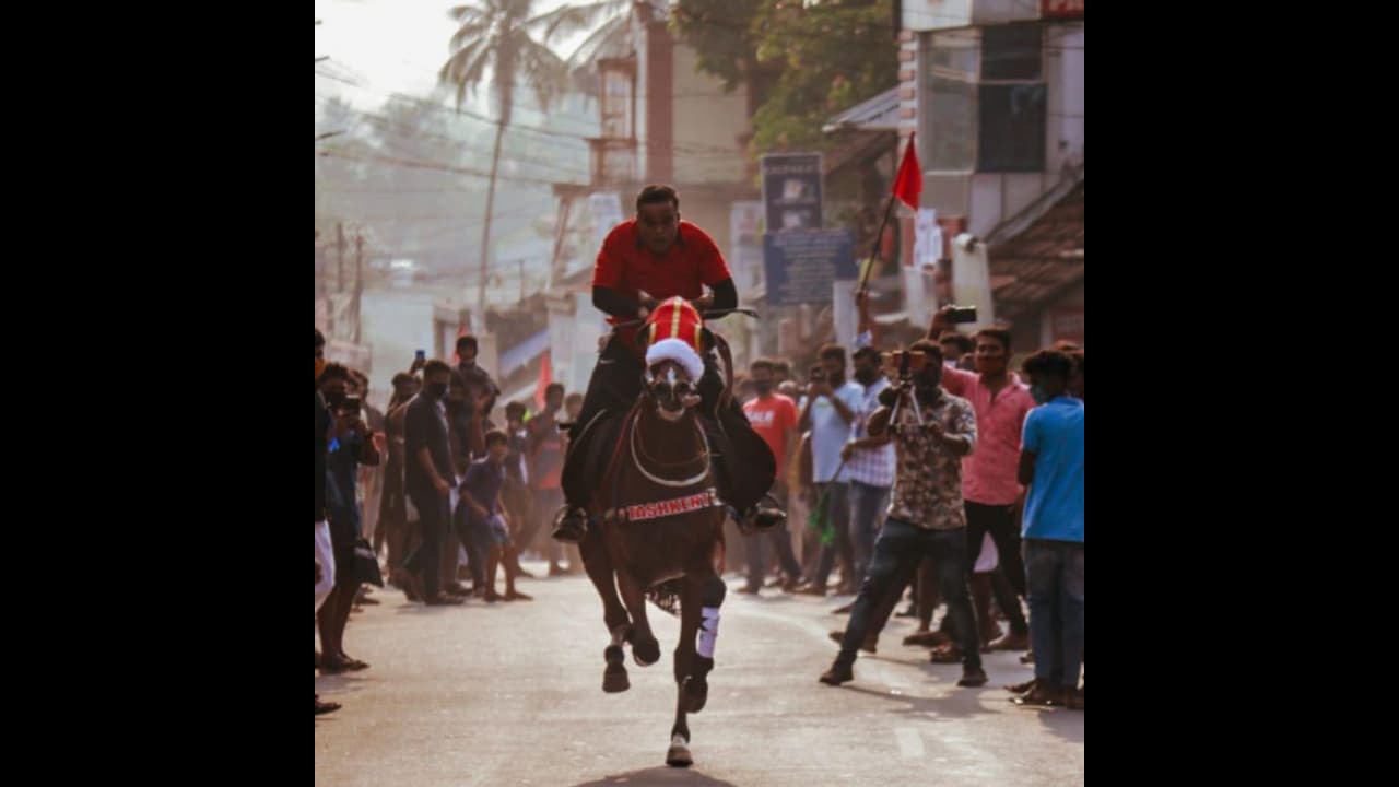 തത്തമംഗലം കുതിരയോട്ടം: കൂടുതൽ അറസ്റ്റ്; 18 കമ്മിറ്റിക്കാരും 16 കുതിരക്കാരും പിടിയിൽ തത്തമംഗലം കുതിരയോട്ടം: കൂടുതൽ അറസ്റ്റ്; 18 കമ്മിറ്റിക്കാരും 16 കുതിരക്കാരും പിടിയിൽ